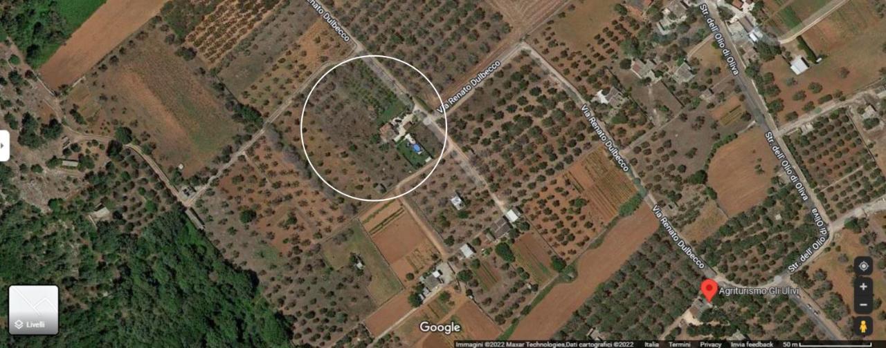 Villa Piana - Con Piscina E Giardino Privato Nel Salento Tricase Exterior foto